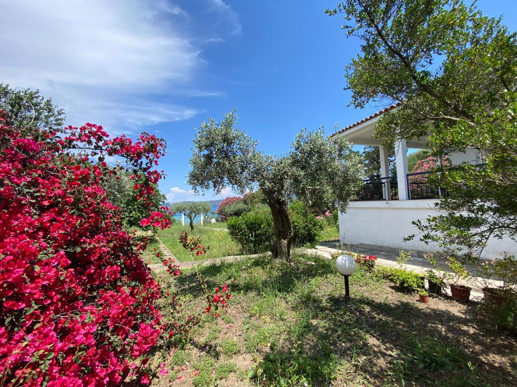 Casa Santa Agua Vila Amoliani Exterior foto